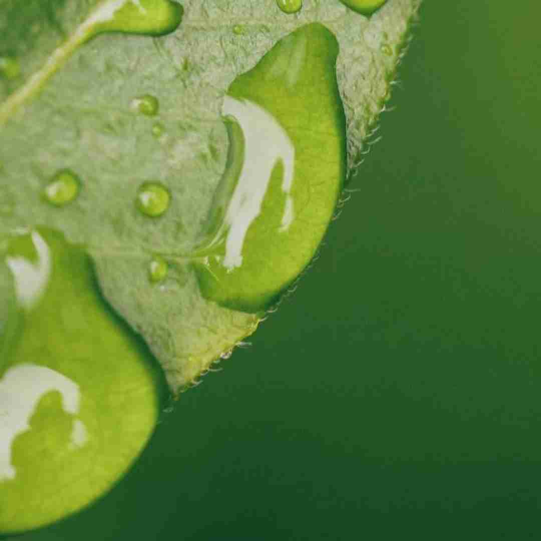  شبا توی پیجه تو میخوابم چرا نمیای توی خوابم