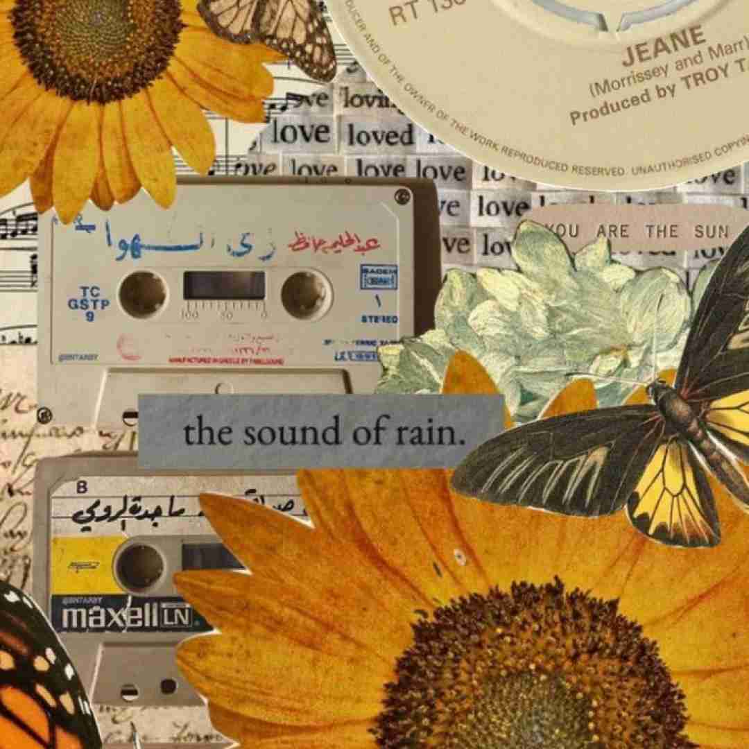 نازلی مکفیان چهار صبح تو تاکسی میس کال از کی تنهام بک سیت
