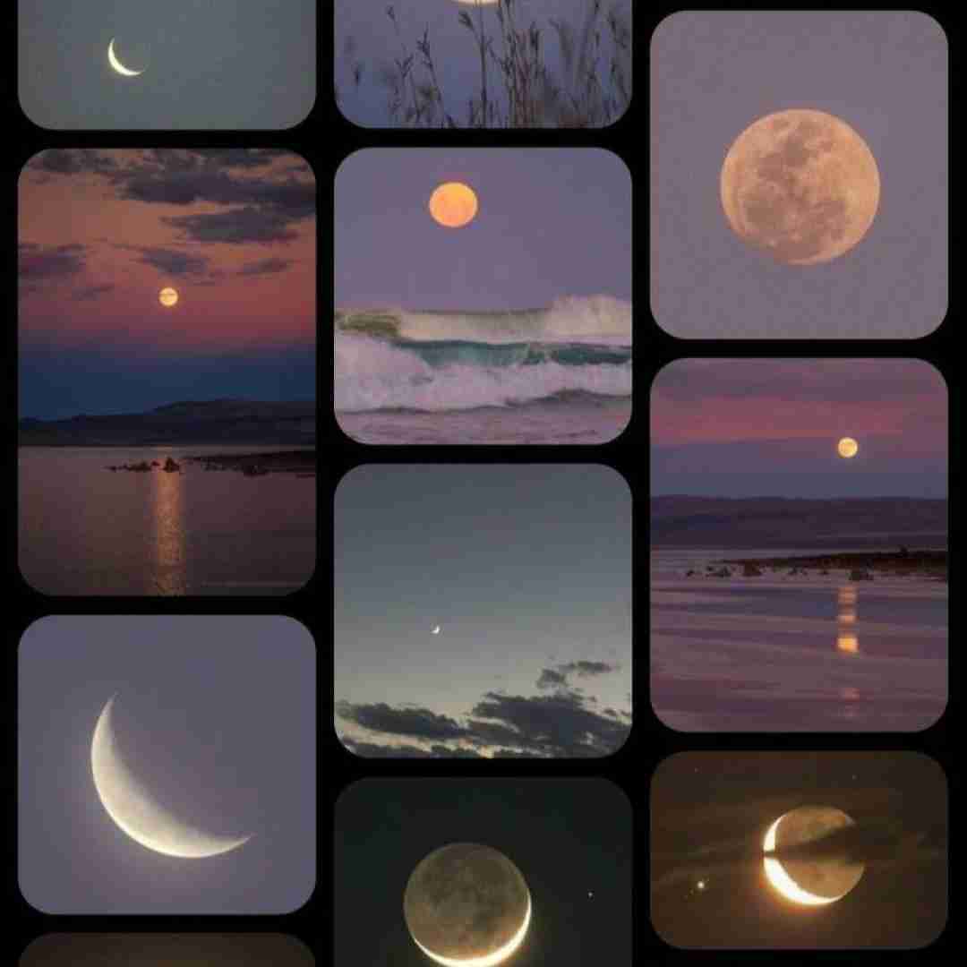 بیخیال کبدم شم بشینم بات بزنم ته پیک