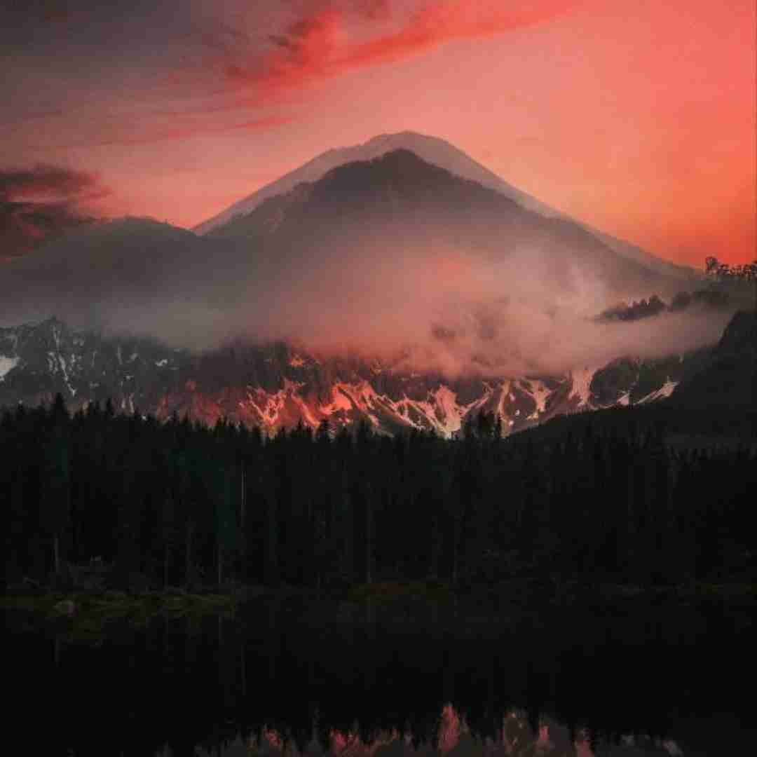 آدما از آدما زود سیر میشن آدما از عشق هم با صدای دختر اینستایی