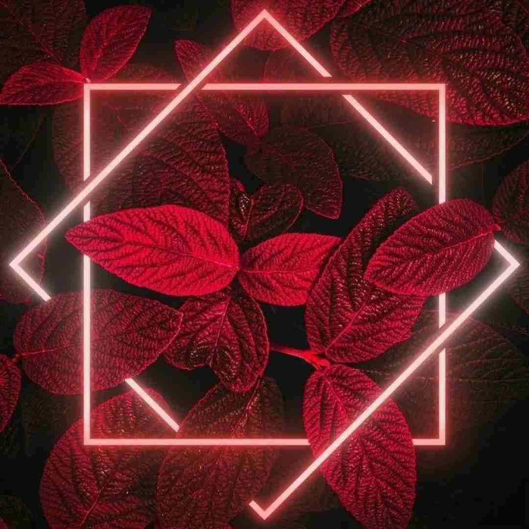  بارونه حالم خرابه ریه داغونه موان نکن آسون نی