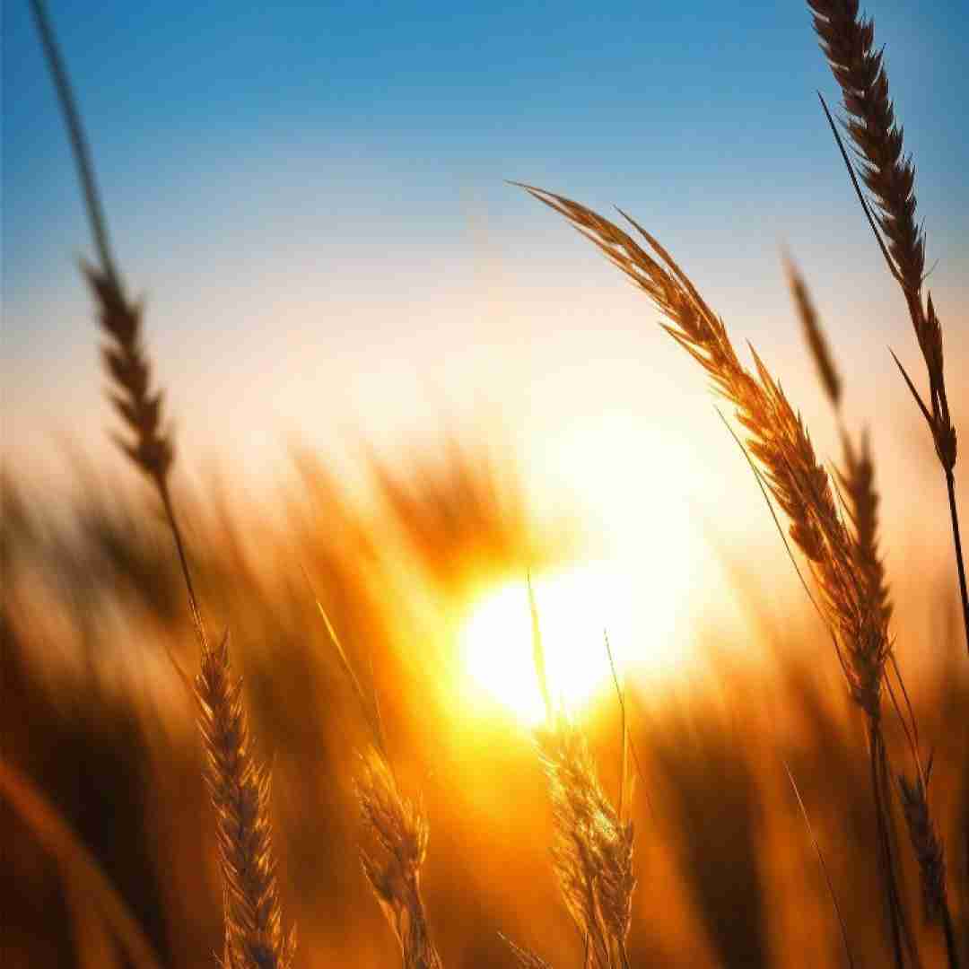 آخرین پروانتم مرد تو قلبم دیگه تموم شد تمومه صبرم
