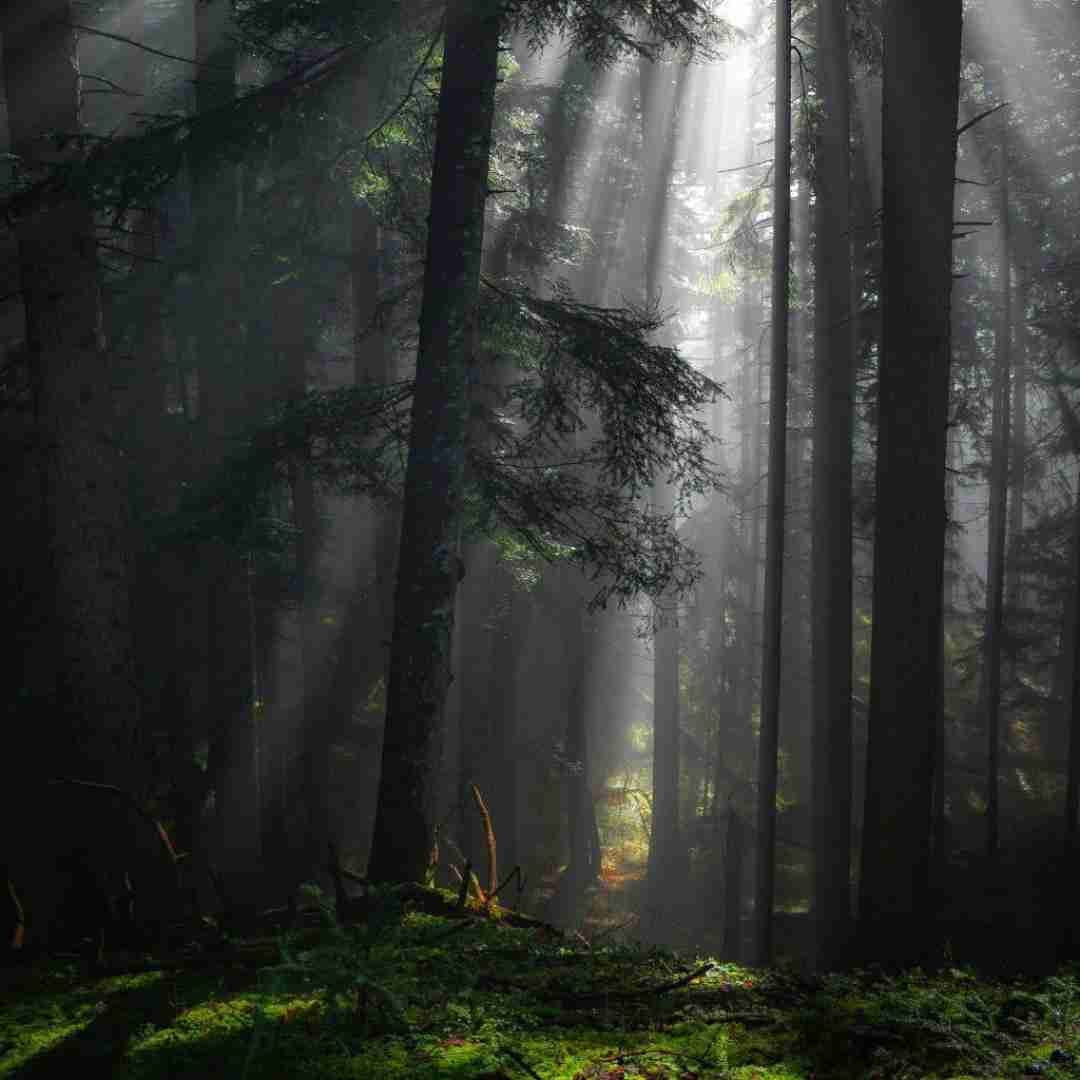 الان تقریبا سه هفته میگذره نمیدونم شاید یذره بیشتره