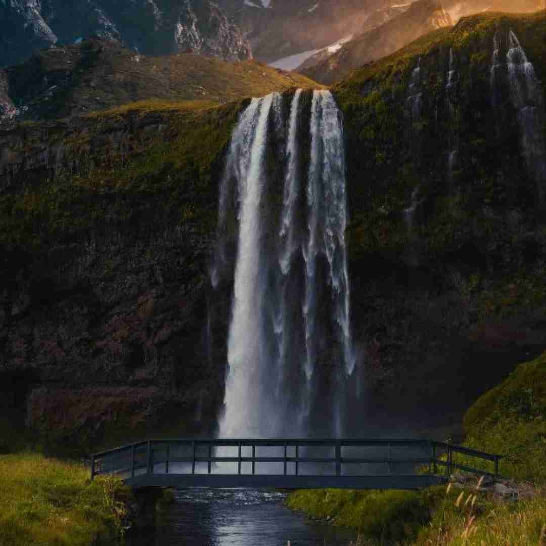  این بدن میخواد بره ولی روحه سرپا نی