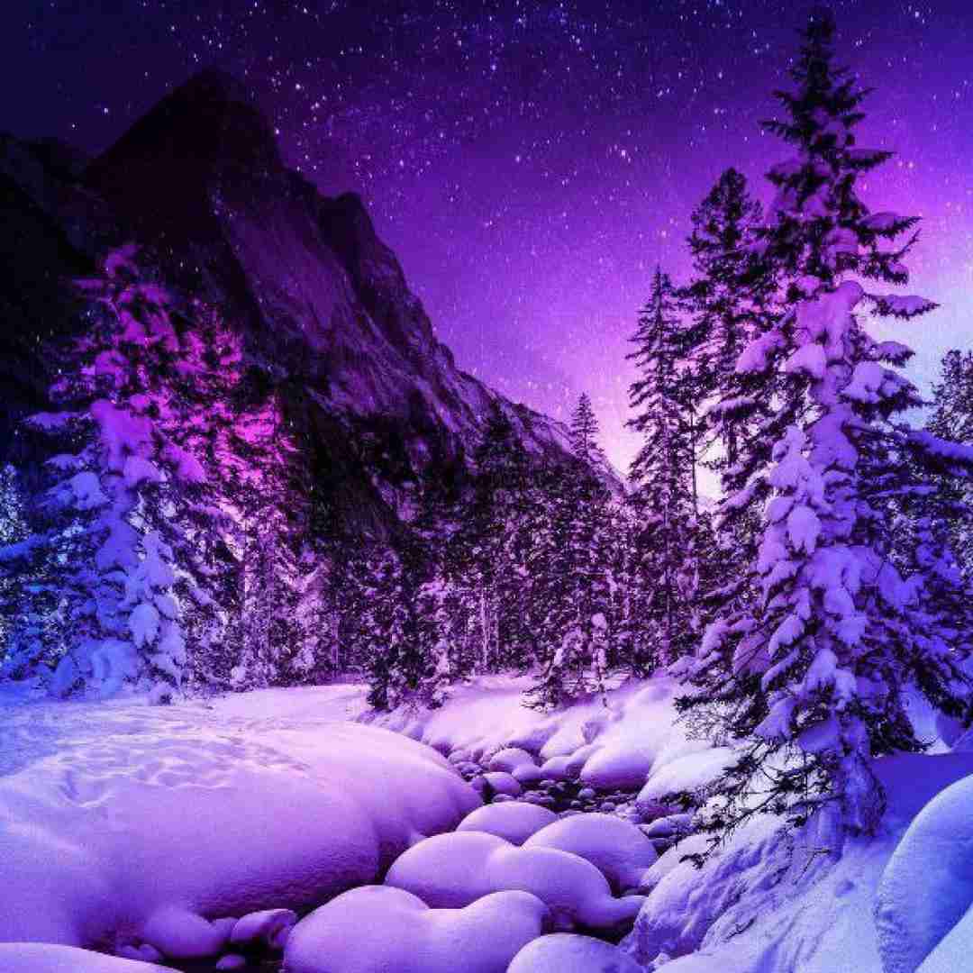  این گریه ها واسه خودمه واسه تو نیست دیگه دیره