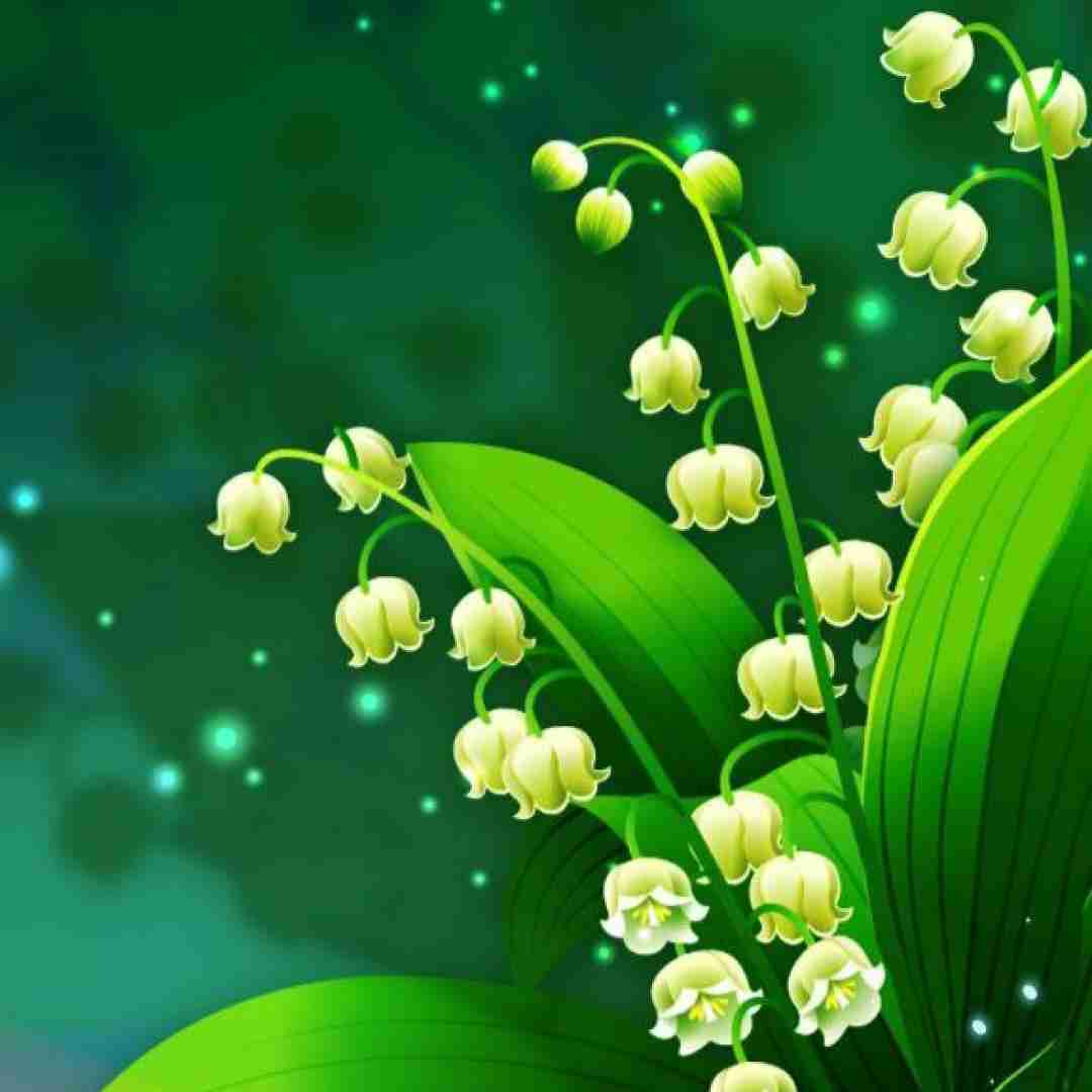 دیگه قلبم توی این تنم جواب نمیده و هی امید میخرم (ترند اینستایی)