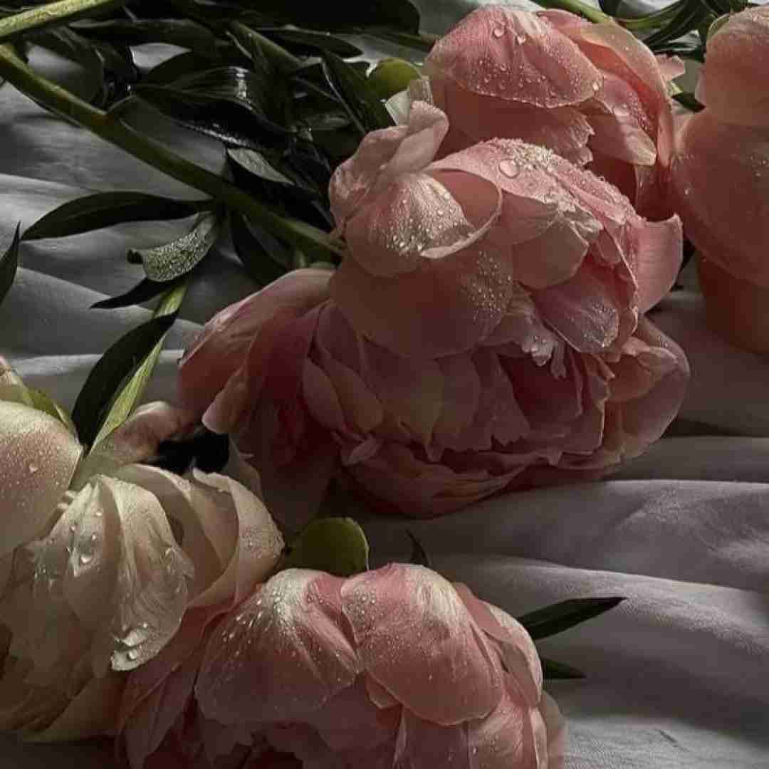 تق تق در زدم دست پر اومدم با صدای زن