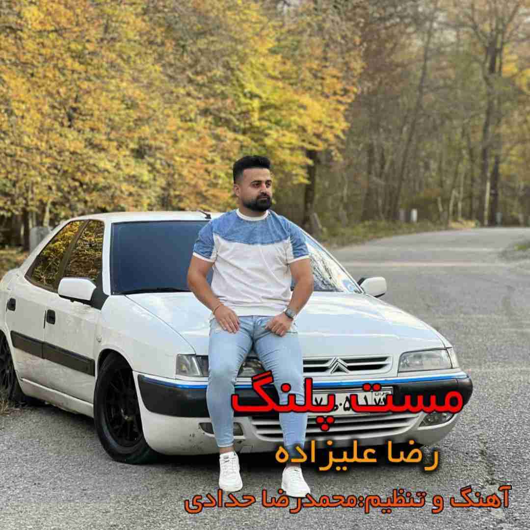 رضا علیزاده مست پلنگ