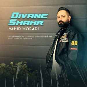 دانلود آهنگ دیوانه شهر از وحید مرادی