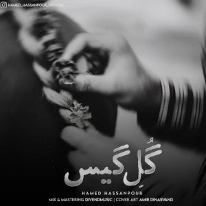دانلود آهنگ گل گیس از حامد حسن پور