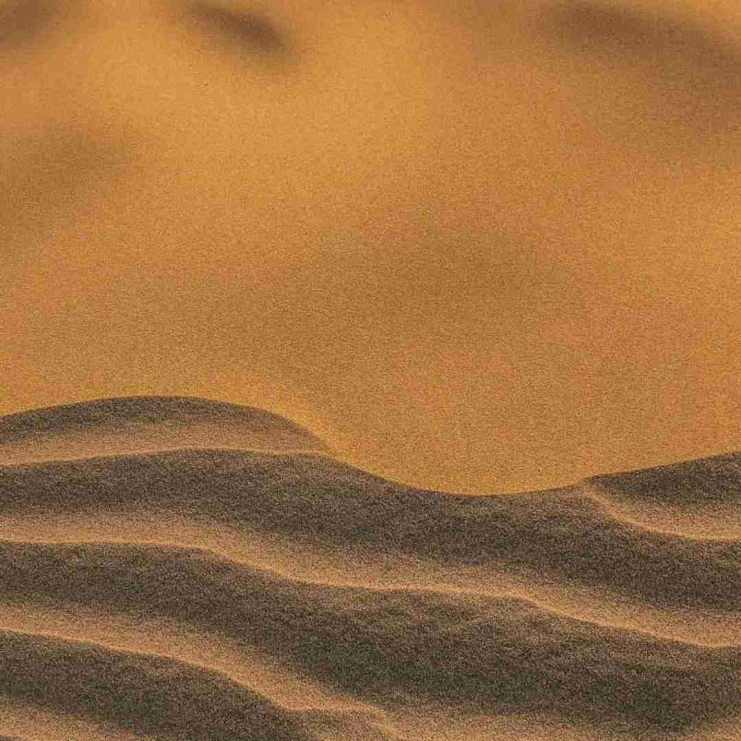 رضا رادین پر پرواز عشق لجباز ملکه قصر دلم