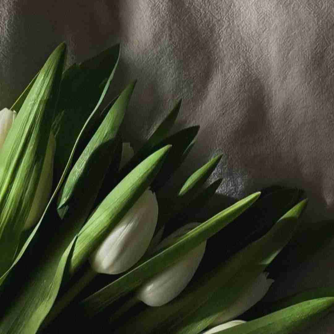 عاصی و آلاز در سریال وحشی (فایل کامل)