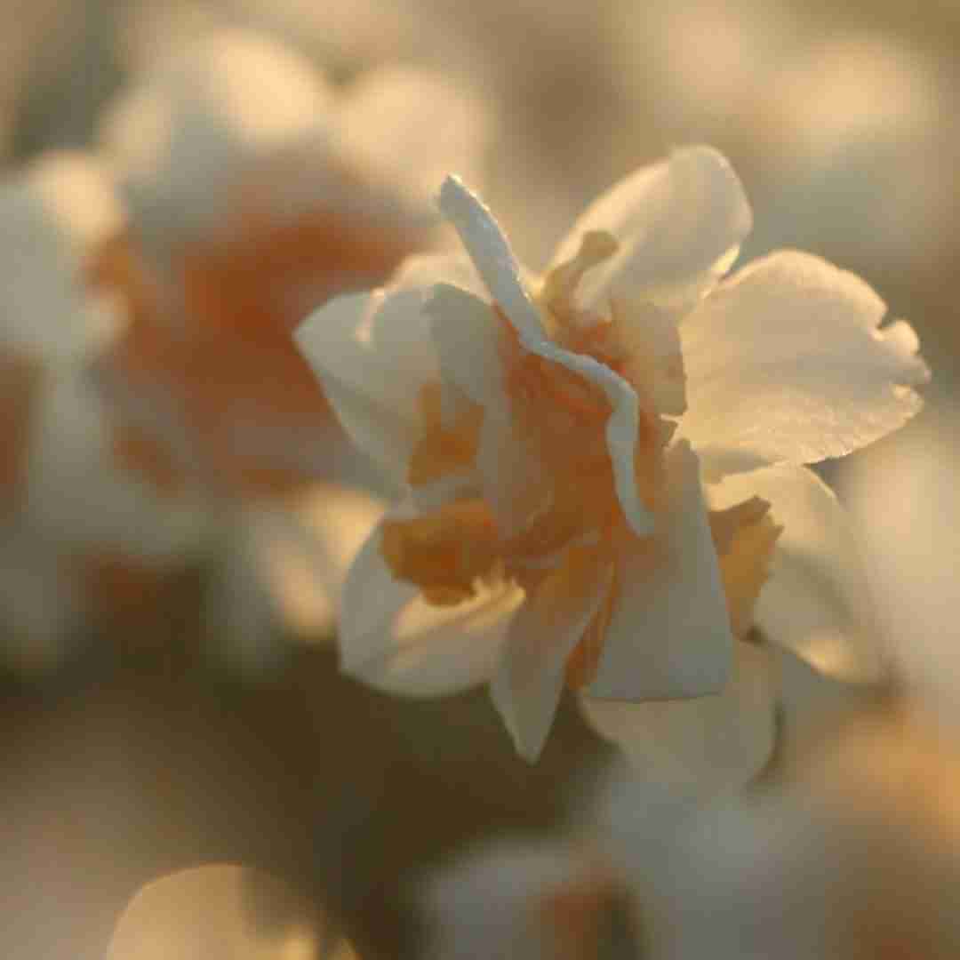 الکی الکی بردی دلو سهم خودت کردی منو