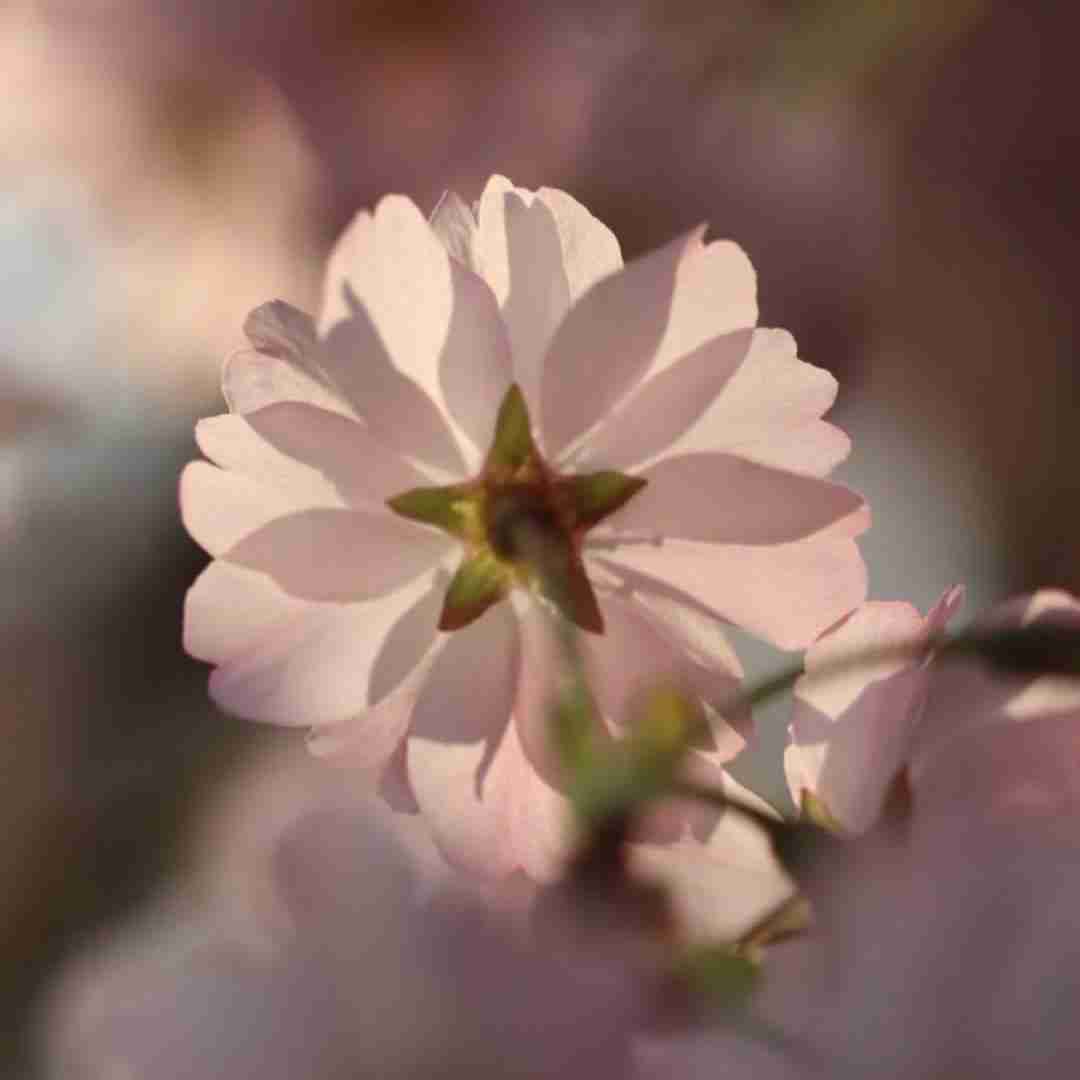  یکیو میخوام مثل همه نباشه تا تهش باهام باشه