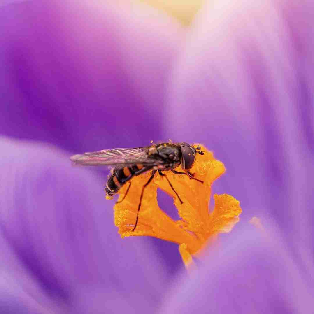 سینه ی سوخته ی بی برگ و بارم فیک بعضیا معرفتشون