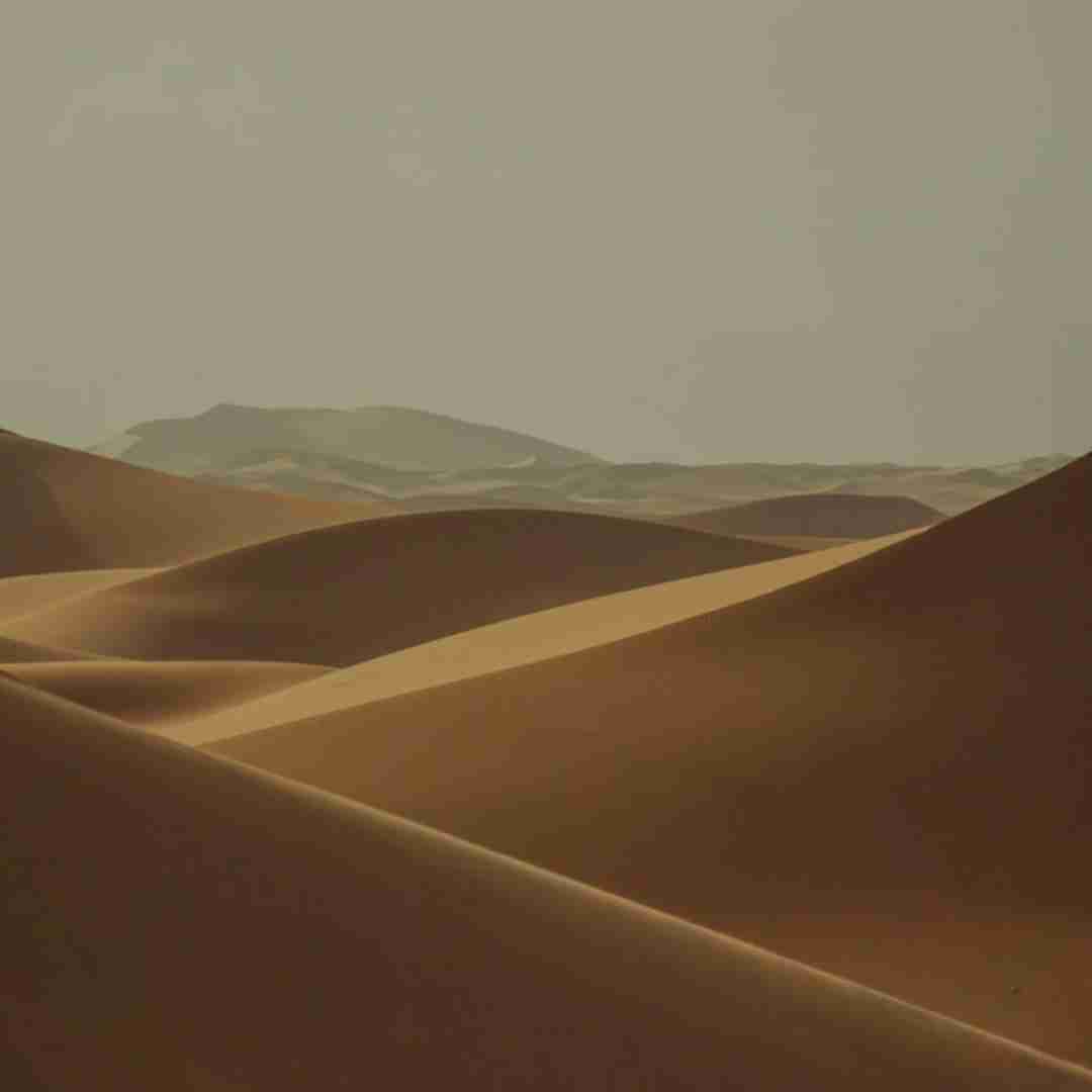 قلبمو برداشت گرفت تو دستاش با صدای دختر اینستایی