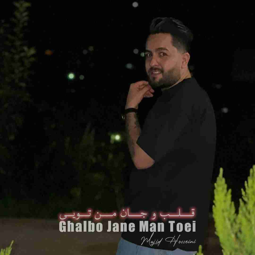 مجید حسینی قلب و جان من تویی