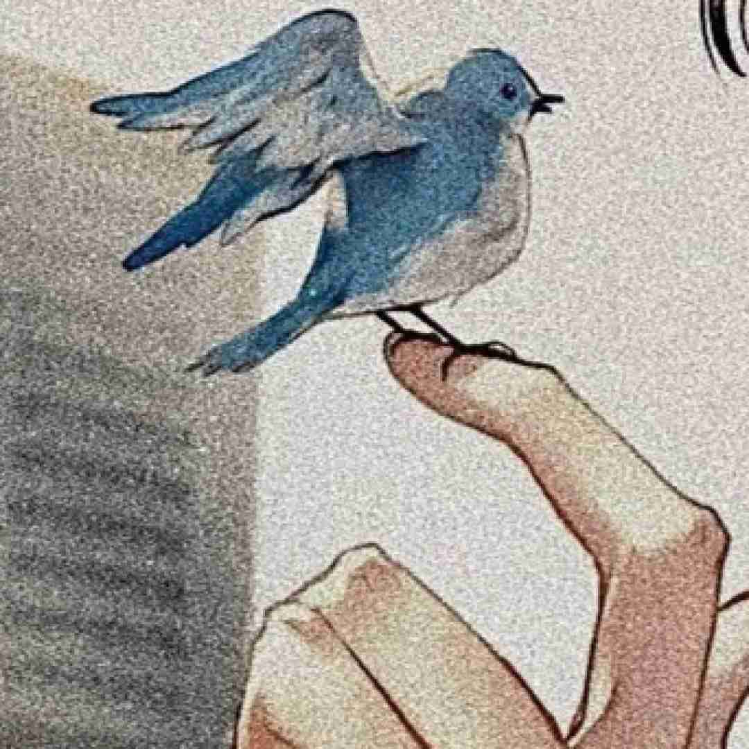 دیگه وقتشه برگردی با دوریم چطور سر کردی با صدای زن