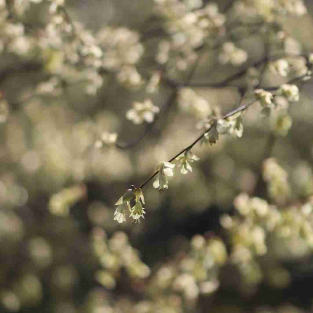 مامان بهت قول دادم دیگه تند نرم