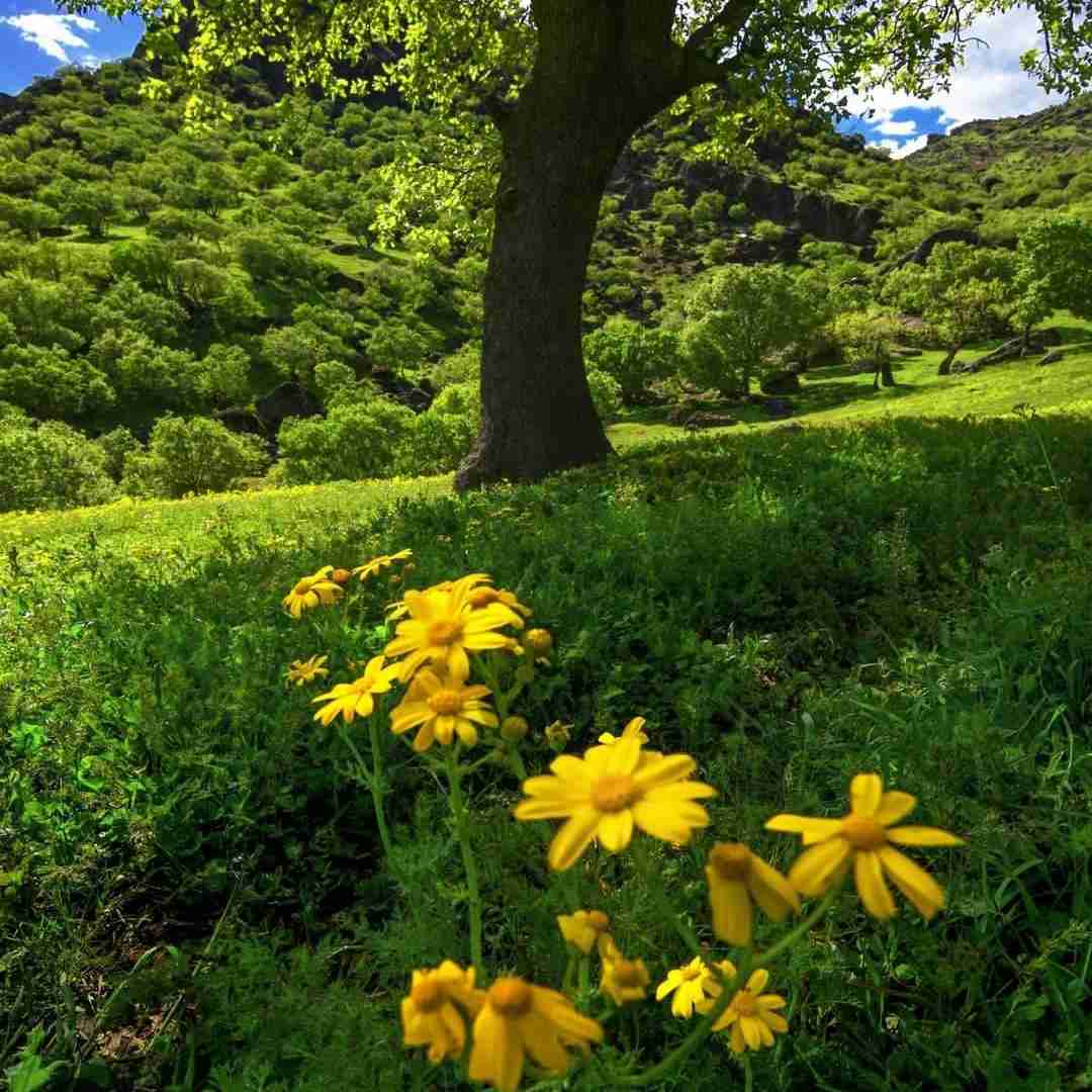 دیگه خوشحال نمیشم هیچ جا انگار راهم نمیدن