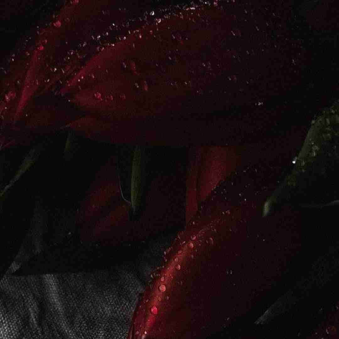 فاطمه عطایی آق ننه (مامان بزرگ)