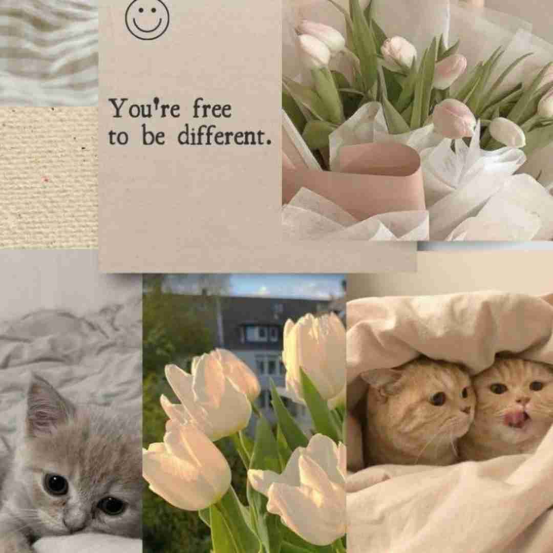 بوی تنت میاد تو اتاقم موهات گرفته رو صورتتو