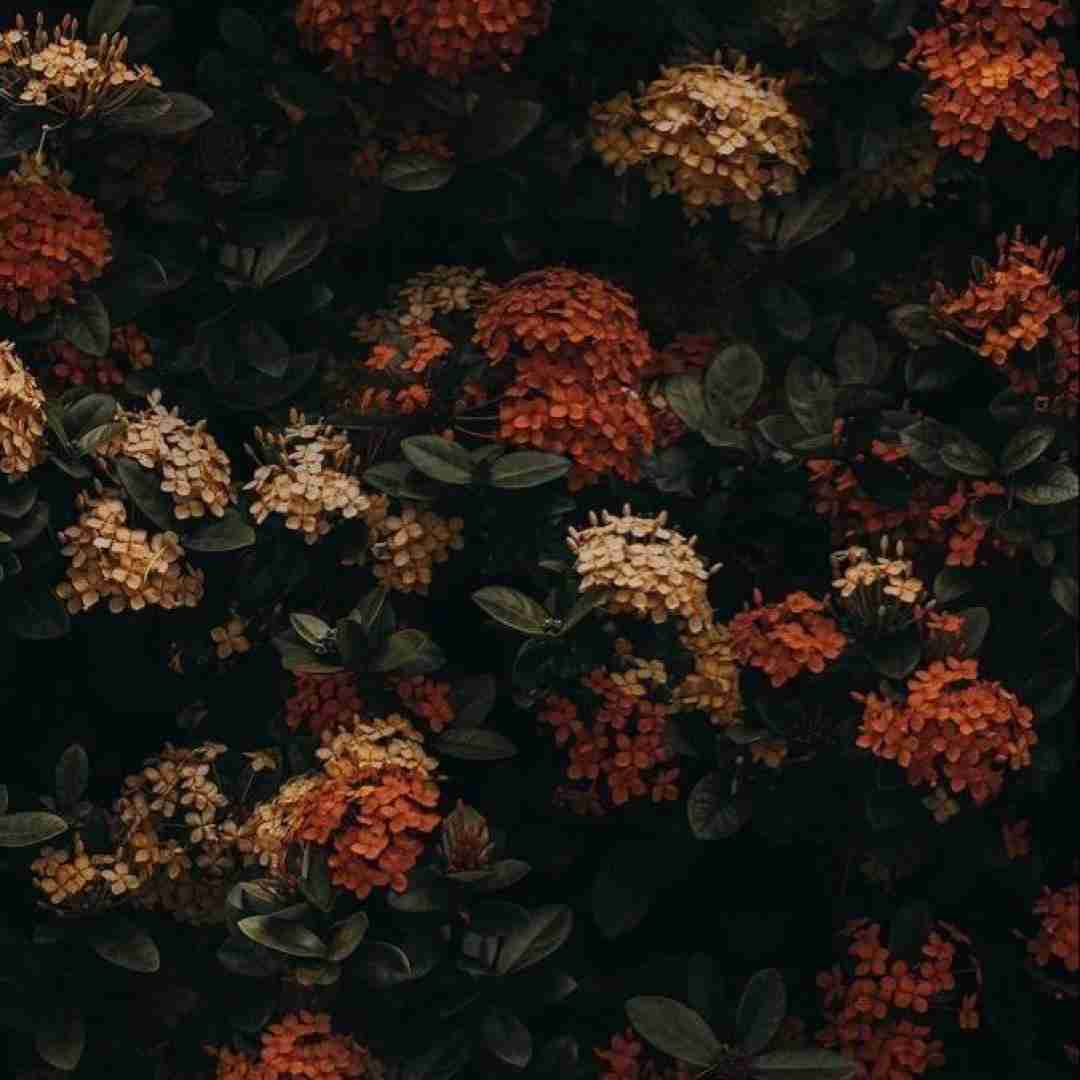 خودم مواظبتم مراقبتم میبوسم همه اشکای