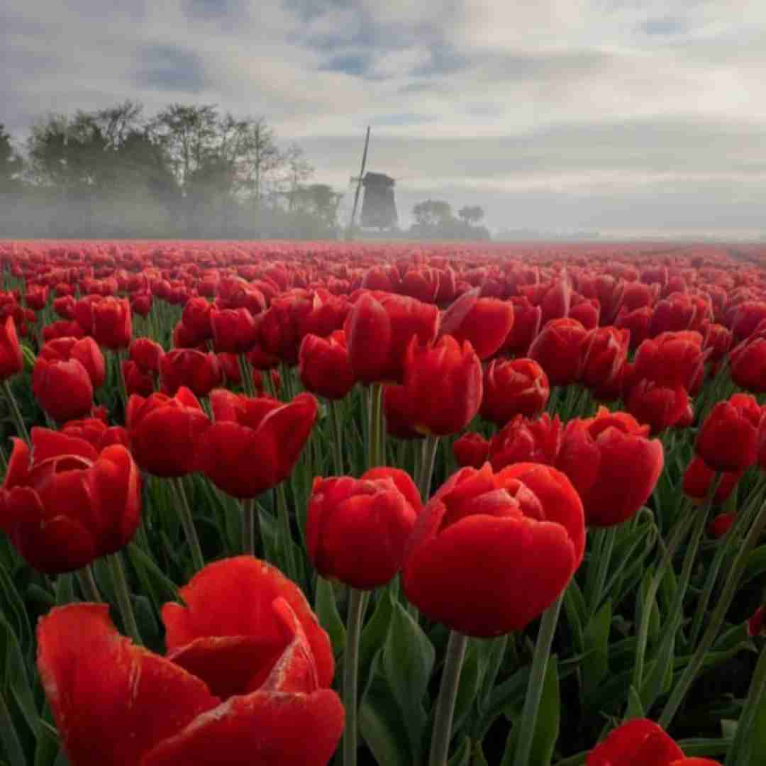  یادمه من روزای اول غروب و طلوع و باهم بودیم با صدای دختر