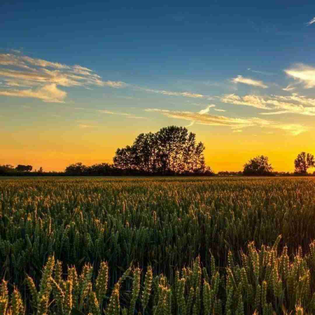 یادم میاد زیر نور ماه گفتم کی بابا اوضاع روبه راه (ترند اینستایی)
