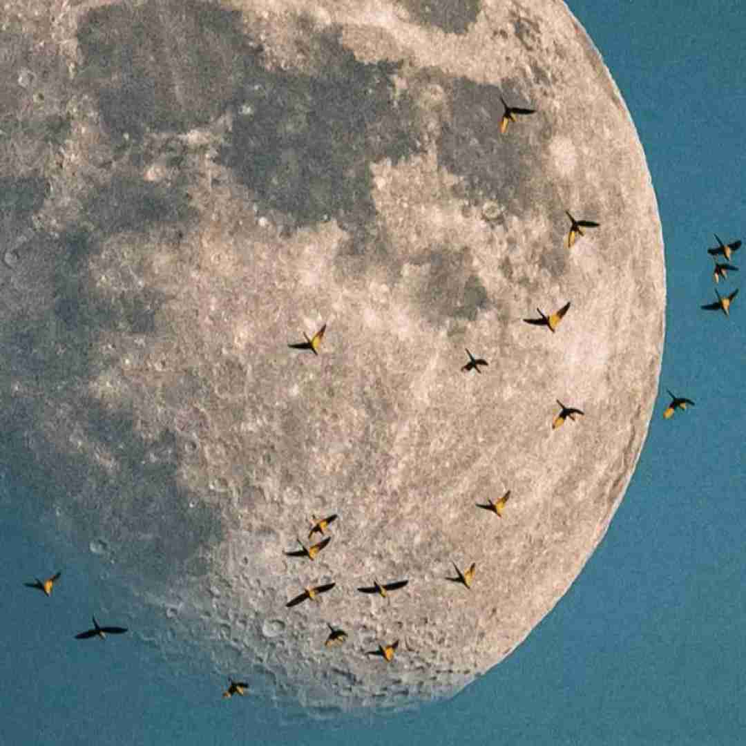  از حالا دیگه من مردم تورو از پیشم بردن با صدای پسر