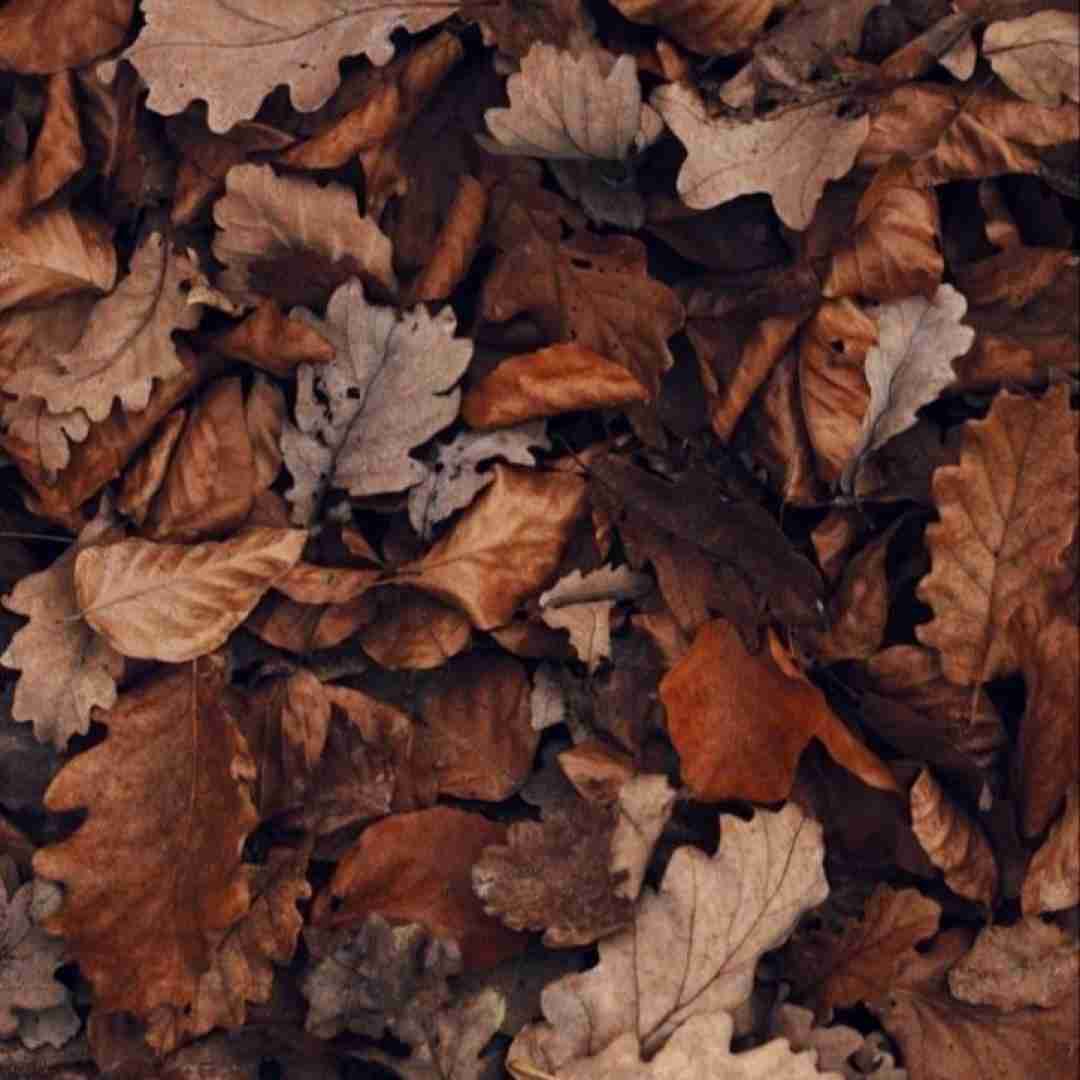  اصن هرچی گفتم حرف حق بود مهم نی که اینا (ترند اینستایی)