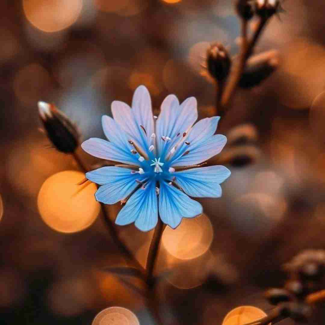 یادم رفت حسامو دادم رفت هرچقدر باشم