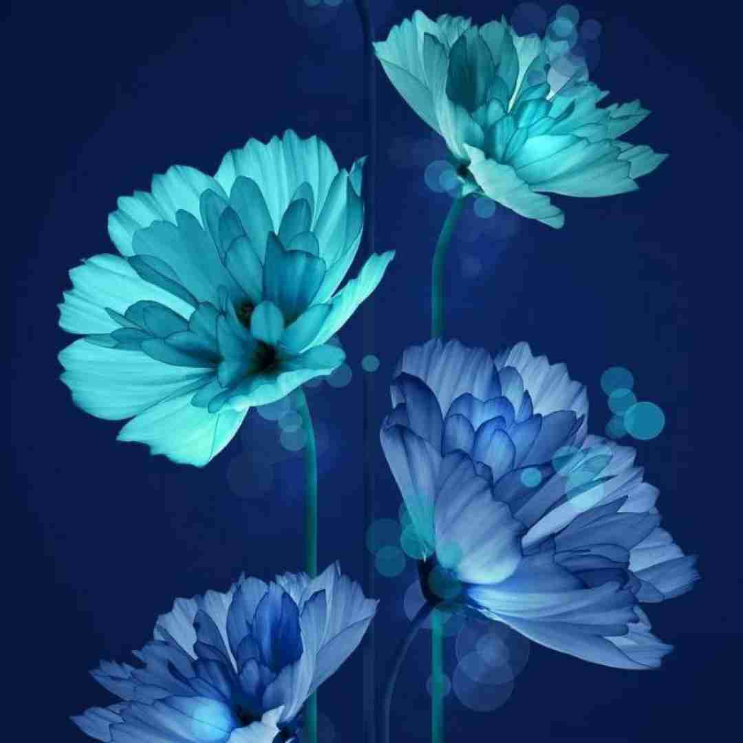 دنیا همینقد باهات بی رحمه حال تورو کسی نمیفهمه