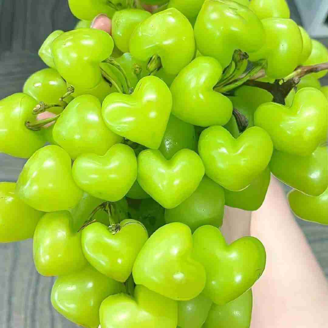  منو ببخش بکن حلالم نکردی برو به سلامت