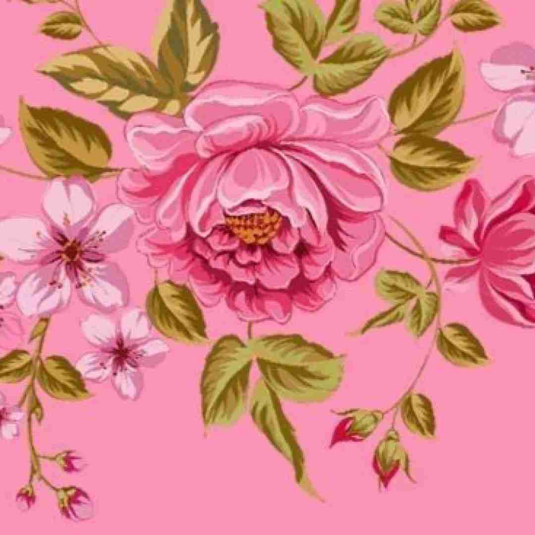 فاطمه عطایی بانو جان