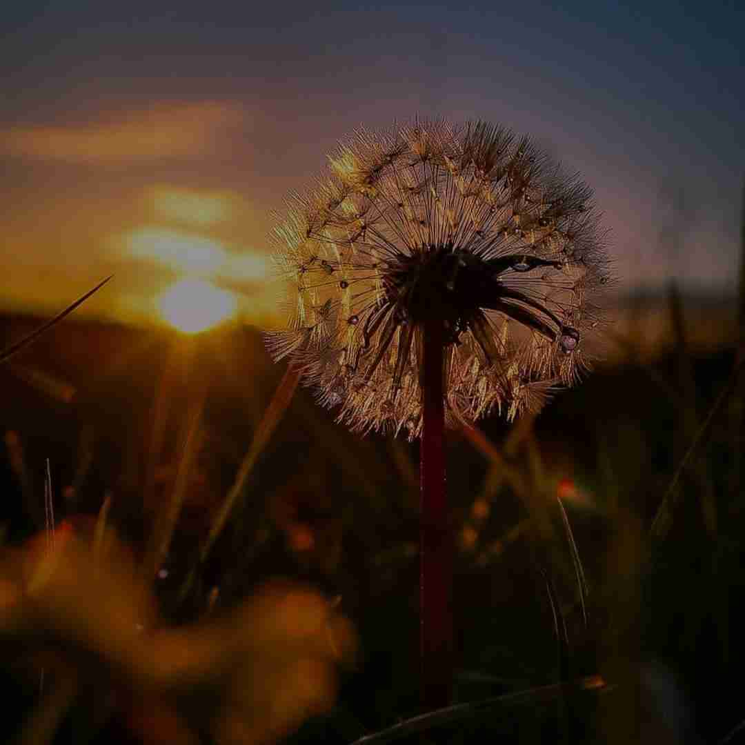 قصه ی عشقمونو با موهات میبافم با صدای زن
