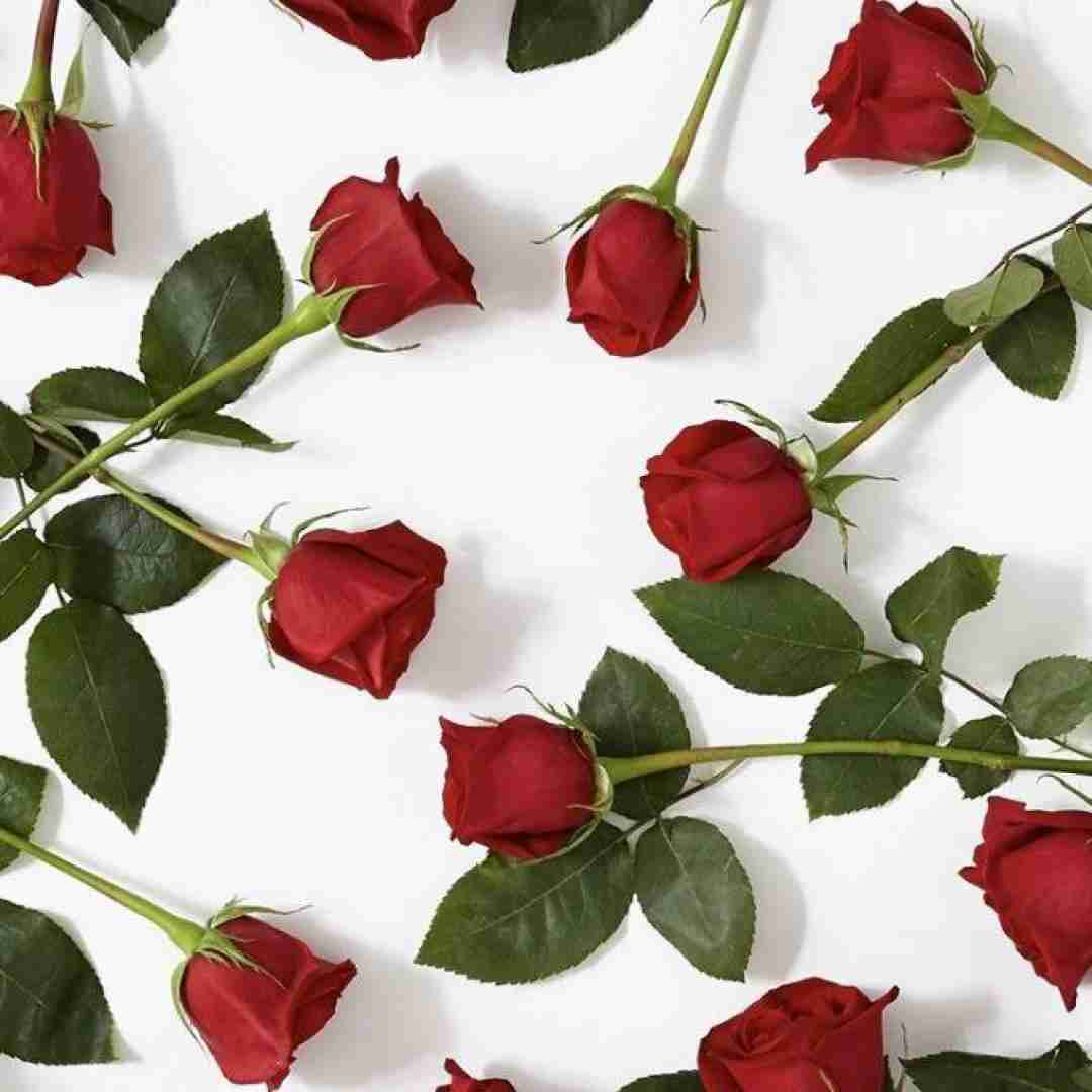  با من قهری قهر نباش با صدای پسر بچه اینستایی