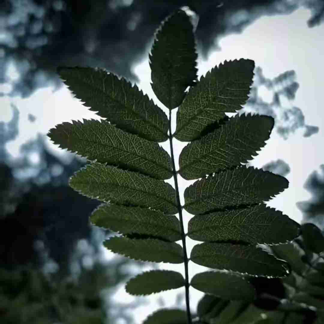 یه روز با خودت میگی چرا از دستش دادم (ترند اینستایی)