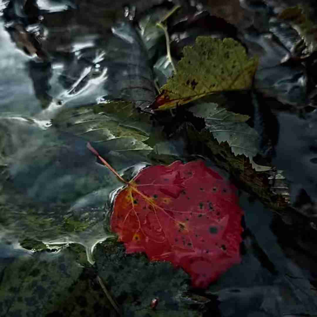 همه توی خواب ناز و منم به فکر چشمای با صدای زن