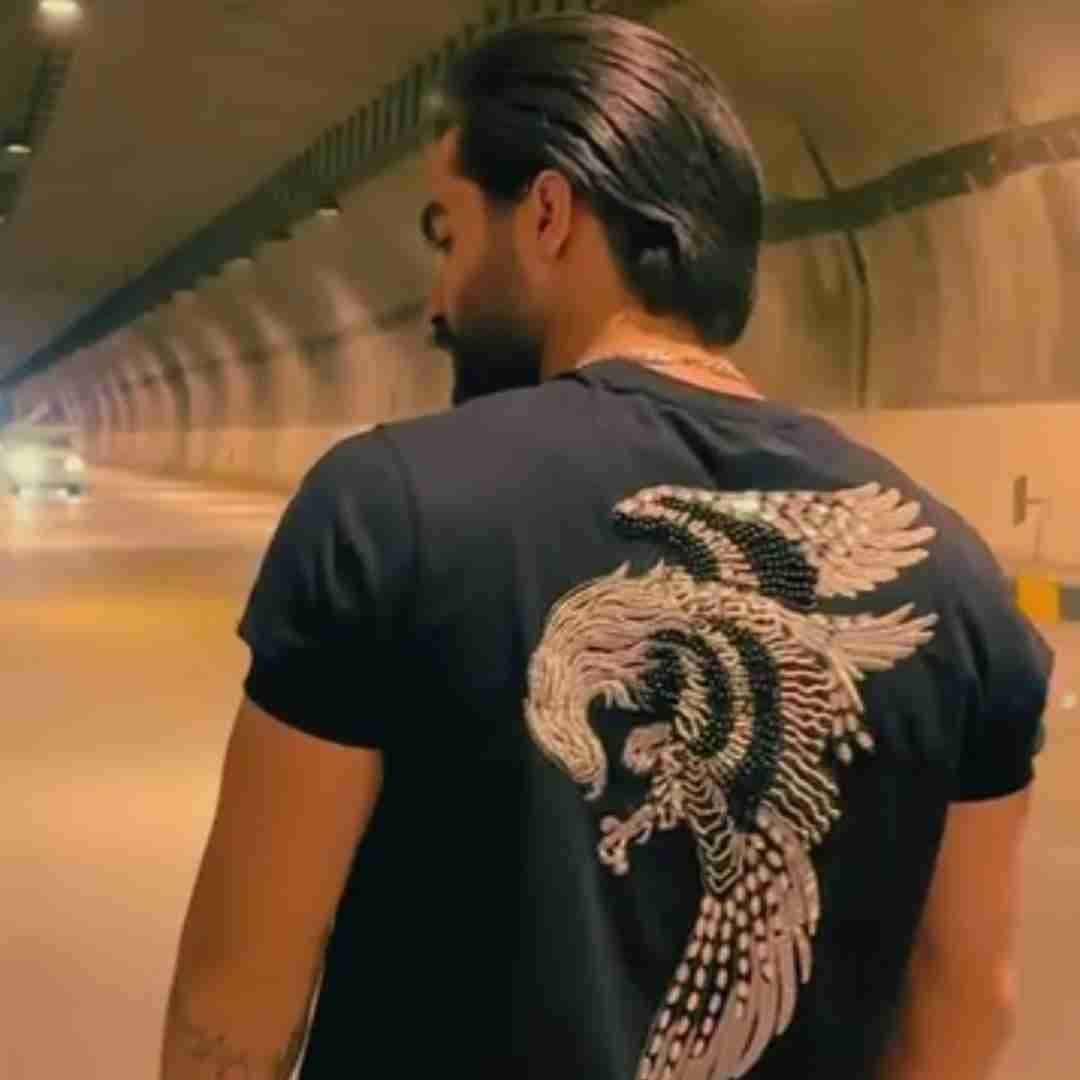 حمیدرضا بابایی دل دادن تو ای زمانه دیوانگی محضه