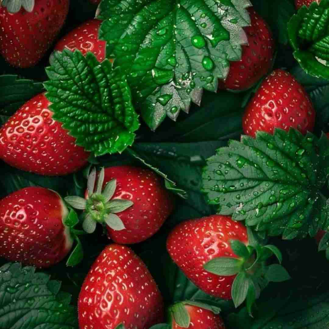 جا خالیت با هیشکی پر نمیشه چطوری از غریبه ها غریبه تر
