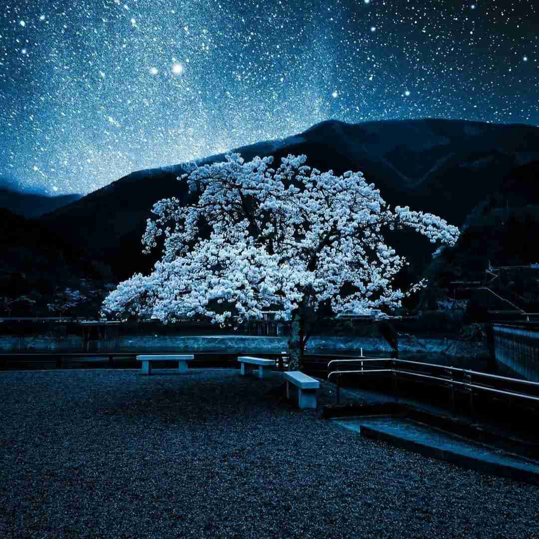 من اگه قیدتو زدم عین تو بدم در گوشم یه صدایی میگه
