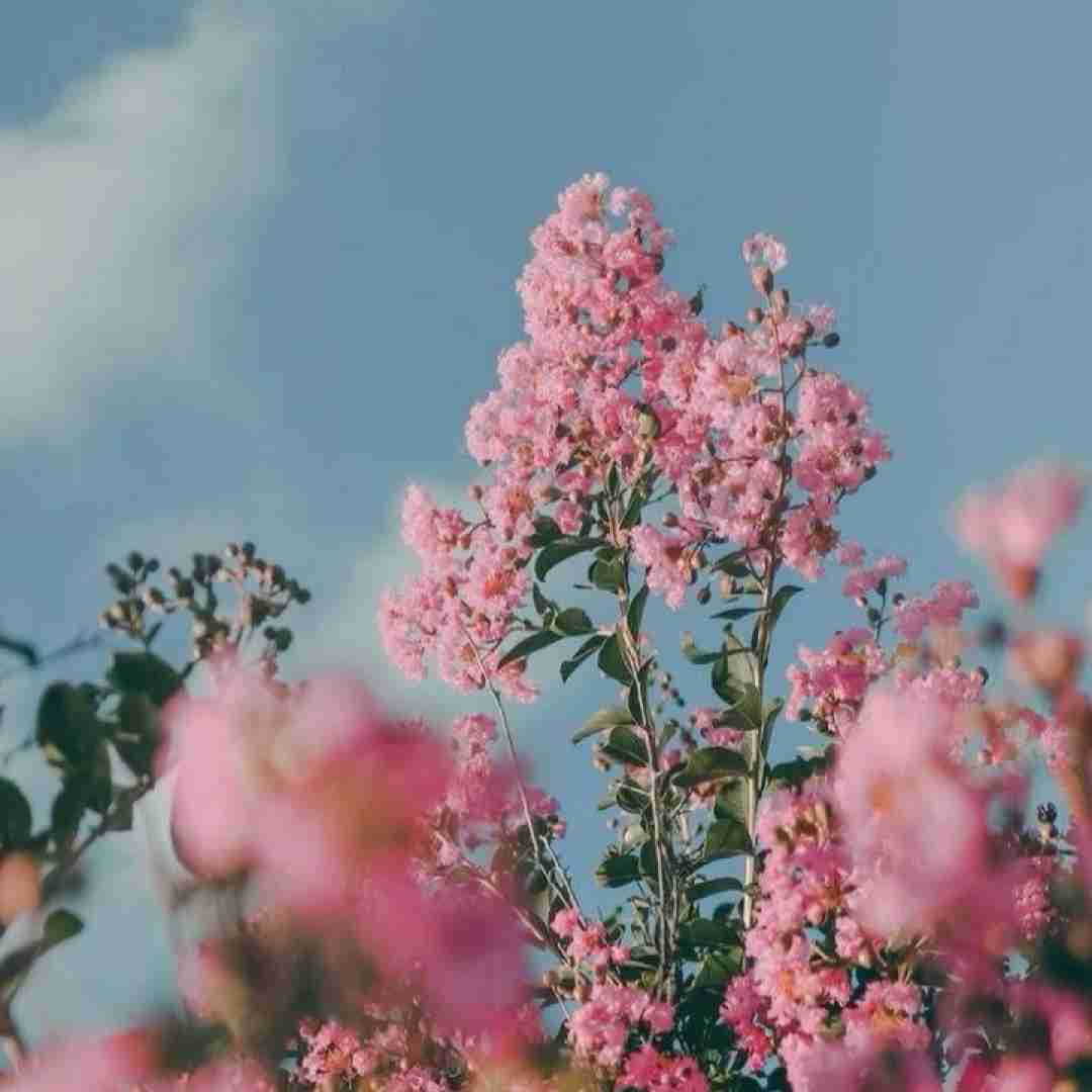 منو یه حال بد که اونم تو دادی خانمی کن صبر کن بازم