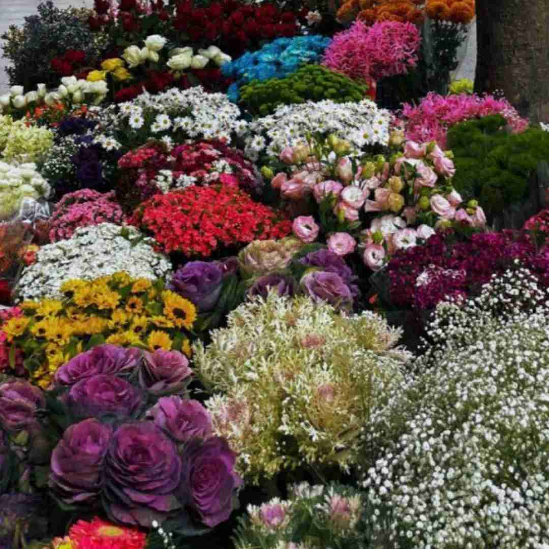 سر به راهتم من کجا سد راهتم با صدای زن - هوش مصنوعی