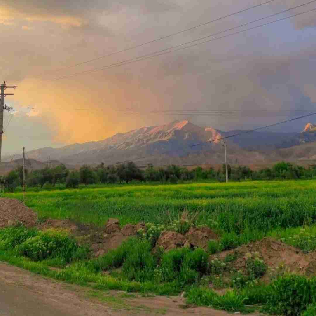 منو در آرید از غم هم بینیم زخمه هم لثه ام (ترند اینستایی)