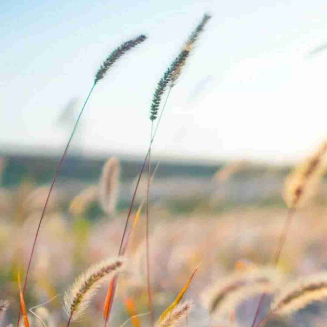 من طاقتم کمه خودت بمون برن همه با صدای دختر (ترکیبی کوردی فارسی)
