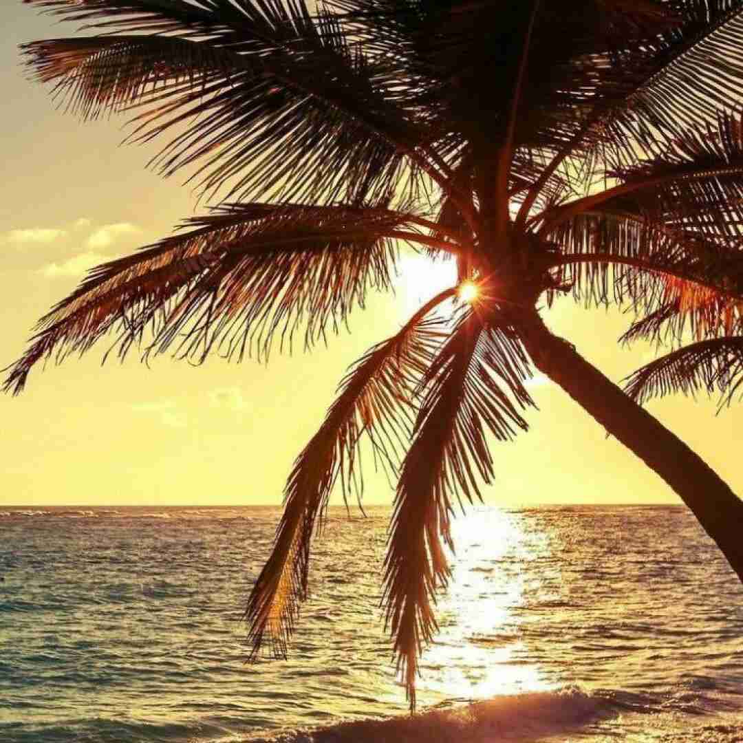  میذارم پامو رو گاز میدم یه جوری فشار بی رحم