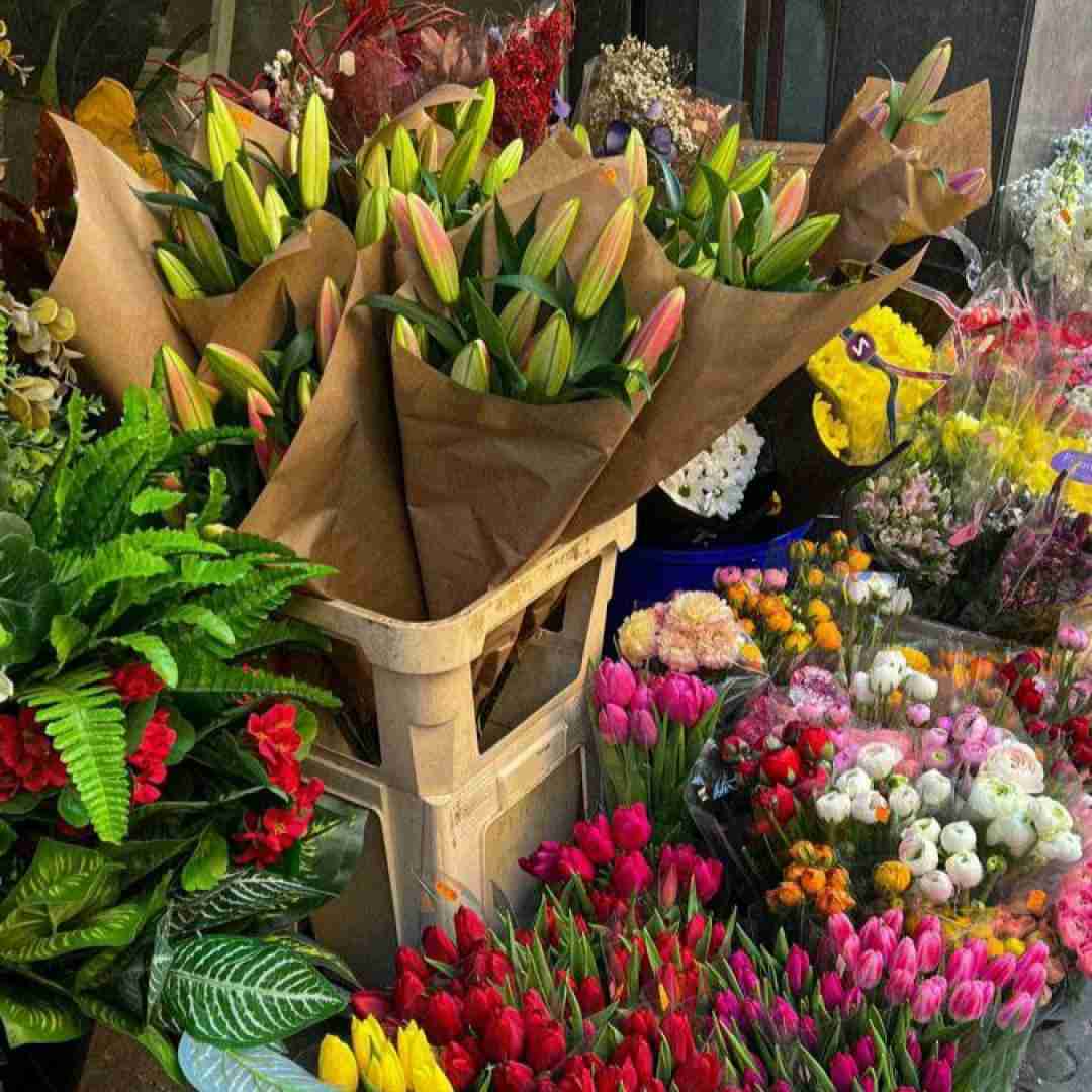  منو نترسون بیب نشو ازم دور حیفه