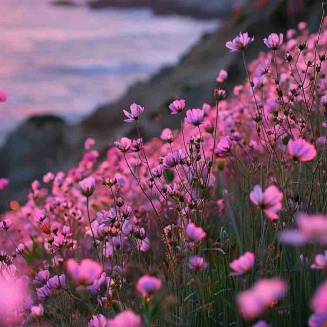 حالا که دوست داری بری هرجا هستی خوب باشی بیبی با صدای دختر