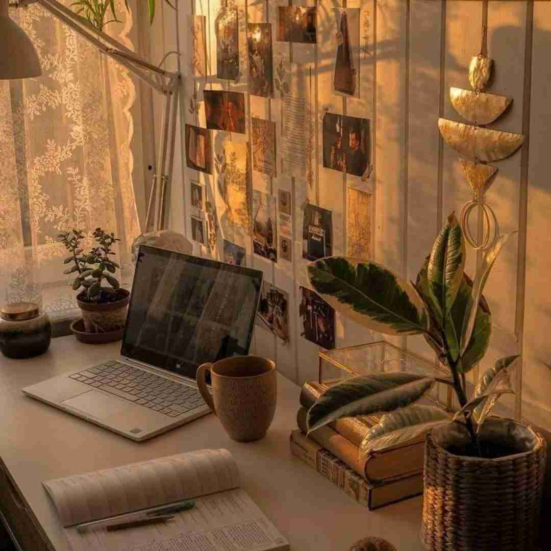 بدو عمان مرسیدس 4 نسوان